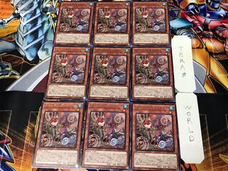 Floowandereeze & Robina BODE 2 Rare set of 9 tera