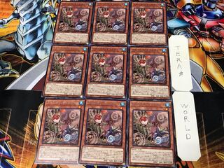 Floowandereeze & Robina BODE 3 Rare set of 9 tera