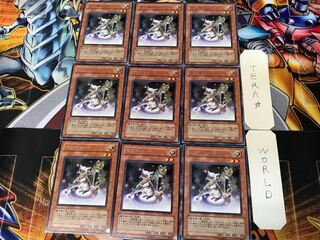 Magicat ANPR 1 rare set of 9 cards Tera