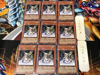 Magicat ANPR 2 Rare 9-card set Tera