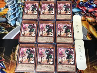 Madolche Messengelato ABYR 1 rare set of 9 tera