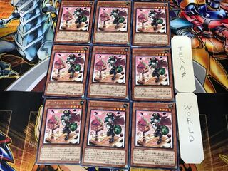 Madolche Messengelato ABYR 3 rare, set of 9 tera