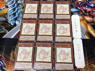 Melffy Puppy ROTD 2 Rare Set of 9 Tera