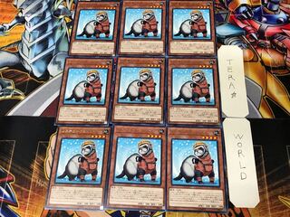 Rescue Ferret COTD 1 rare, set of 9 Tera.