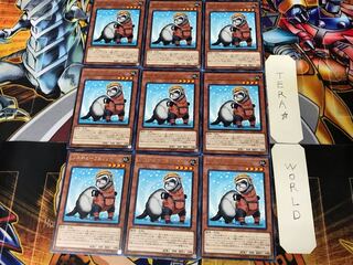 Rescue Ferret COTD 2 Rare Set of 9 Tera.