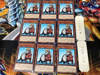 Rescue Ferret COTD 3 Rare Set of 9 Tera.