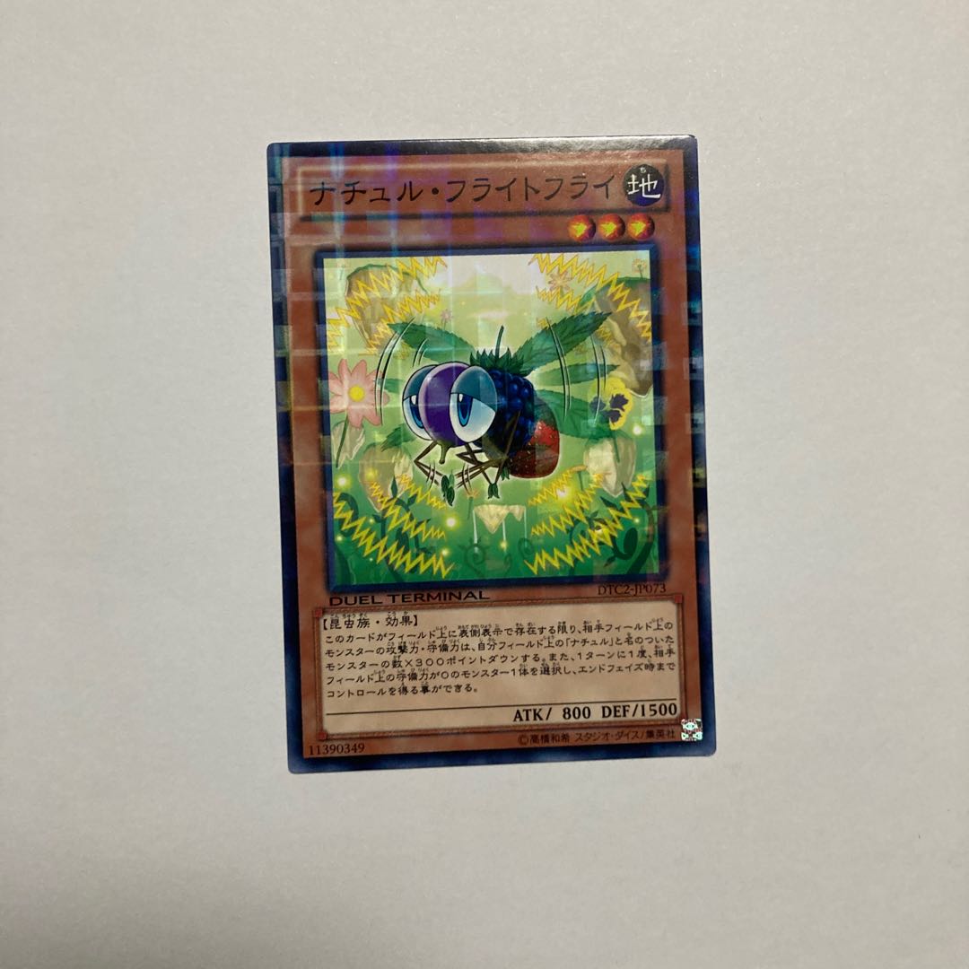 Naturia Fruitfly Normal JP073 1枚