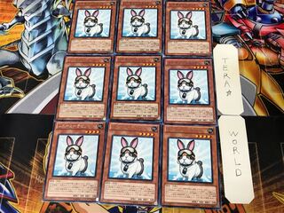 Rescue Rabbit PHSW 1 rare, set of 9 Tera.