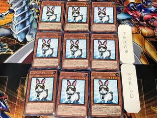 Rescue Rabbit PHSW 2 rare, set of 9 Tera.