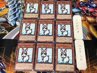 Rescue Rabbit PHSW 3 rare, set of 9 Tera.