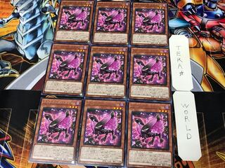 ロクスローズ・ドラゴン LIOV 1 レア 9枚セット てら