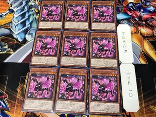 ロクスローズ・ドラゴン LIOV 2 レア 9枚セット てら