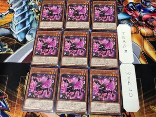 ロクスローズ・ドラゴン LIOV 3 レア 9枚セット てら