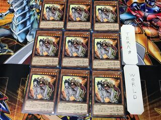 ワルキューレ・エルダ EP19 1 レア 9枚セット てら