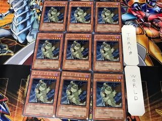 D.D. Survivor TLM 1 rare, set of 9 Tera.