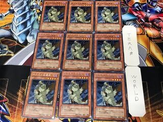 D.D. Survivor TLM 2 rare, set of 9, Tera.