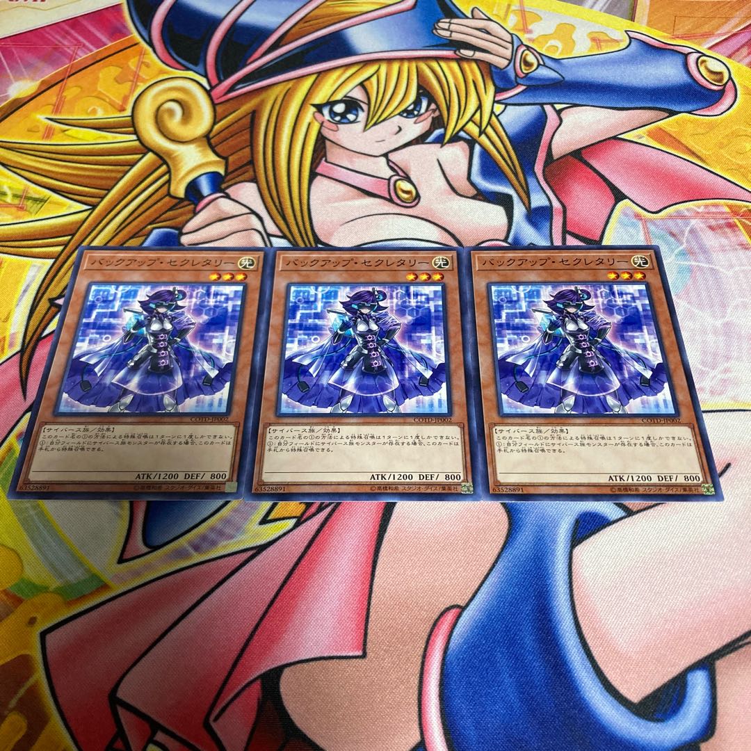 Backup Secretary Normal JP002