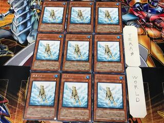 Treeborn Frog SOI 3 rare, set of 9, Tera.