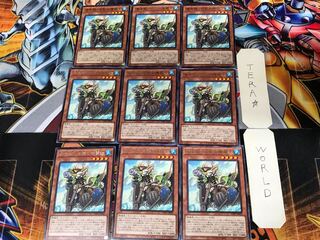 海造賊-白髭の機関士 WPP1 2 レア 9枚セット てら