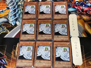 Vanity's Ruler CDIP 1 Rare Set of 9 Tera.