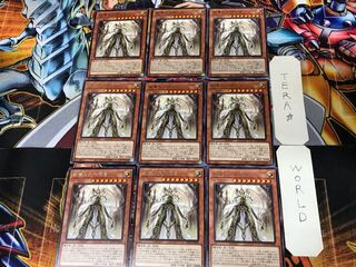 Dogmatika Maximus ROTD 1 rare set of 9 tera