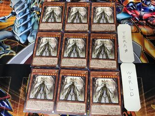 Dogmatika Maximus ROTD 2 rare, set of 9 tera