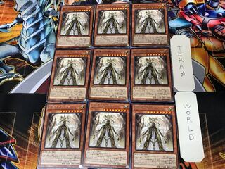 Dogmatika Maximus ROTD 3 rare set of 9 tera
