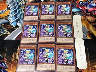 DAMA 1 Rare 9-card set, Tera.