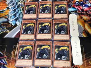 極星獣グルファクシ STOR 1 レア 9枚セット てら