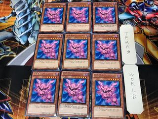 Svartalf of the Nordic Alfar STOR 3 rare, set of 9 Tera.