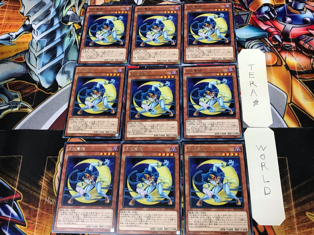 月光蒼猫 SHVI 1 レア 9枚セット てら