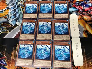 Lappis Dragon SAST 3 rare, set of 9 Tera.