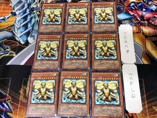 Simorgh, Bird of Ancestry LODT 1 rare set of 9 terra