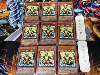 Simorgh, Bird of Ancestry LODT 2 rare, set of 9 terra