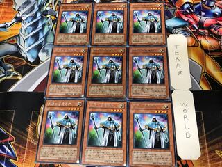 熟練の白魔導師 EE1 2 レア 9枚セット てら