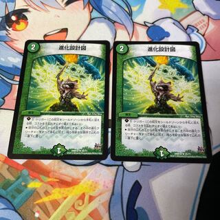 Evolutionary blueprint R 25/71