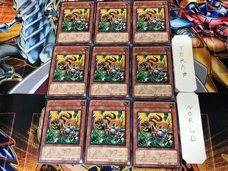 除草獣 EXP4 3 レア 9枚セット てら