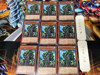 森羅の賢樹 シャーマン PRIO 2 レア 9枚セット てら