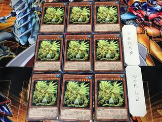 水晶機巧-サルファフナー RATE 1 レア 9枚セット てら