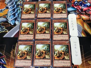 Noble Knight Gawayn EP13 1 rare set of 9 tera