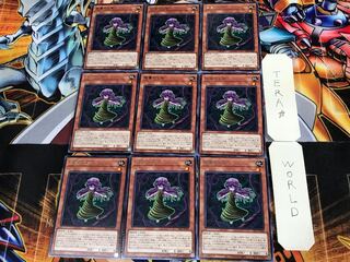 Sunvine Maiden SLT1 2 Rare Set of 9 Tera.