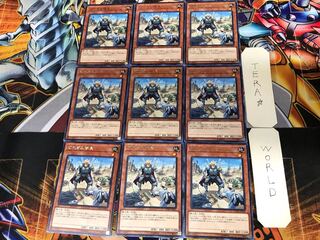 Motivating Captain COTD 1 rare, set of 9, Tera.
