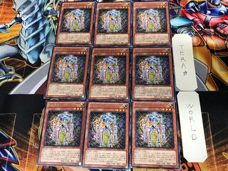 Chronomaly Crystal Bones REDU 2 rare, set of 9, Tera.