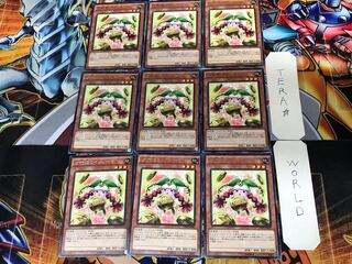 Prediction Princess Coinorma CPD1 1 Rare Set of 9 Tera
