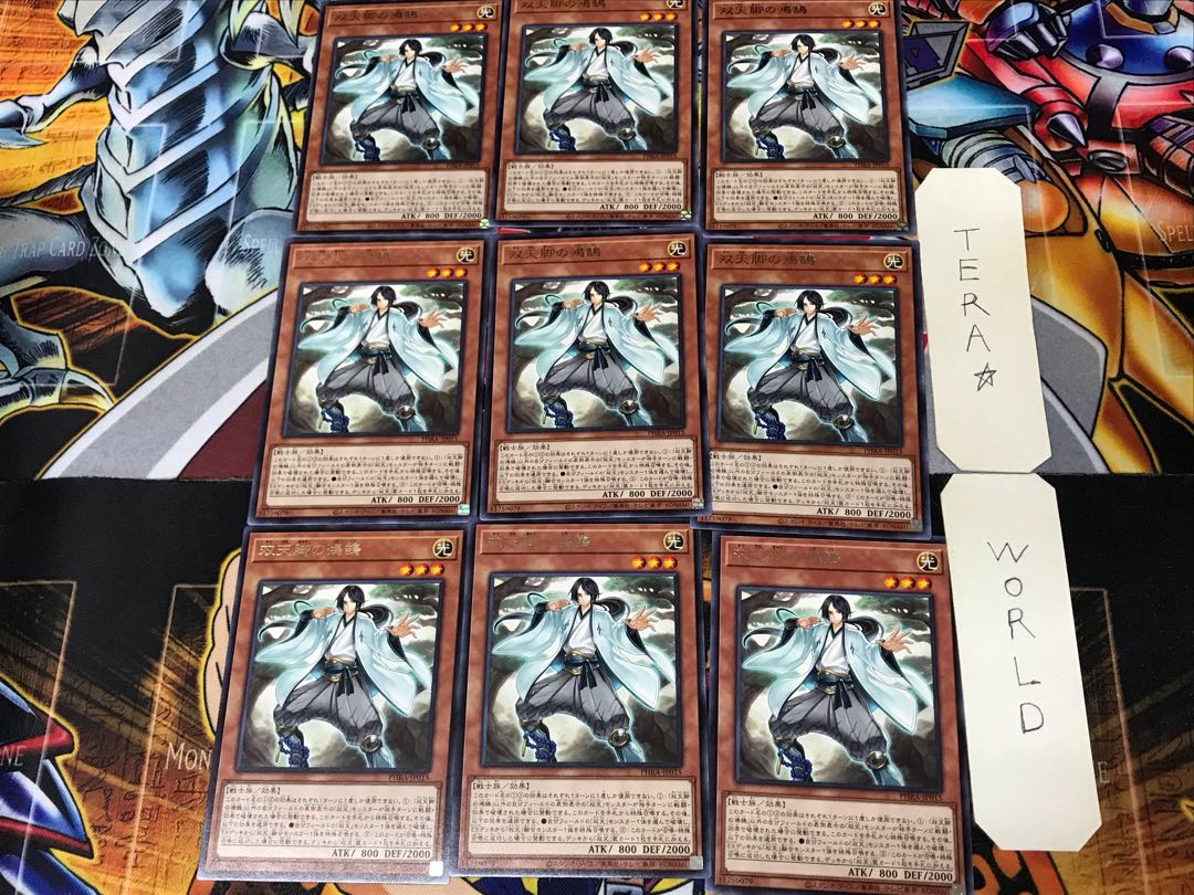 Dual Avatar Feet - Kokoku PHRA 2 rare, set of 9 tera