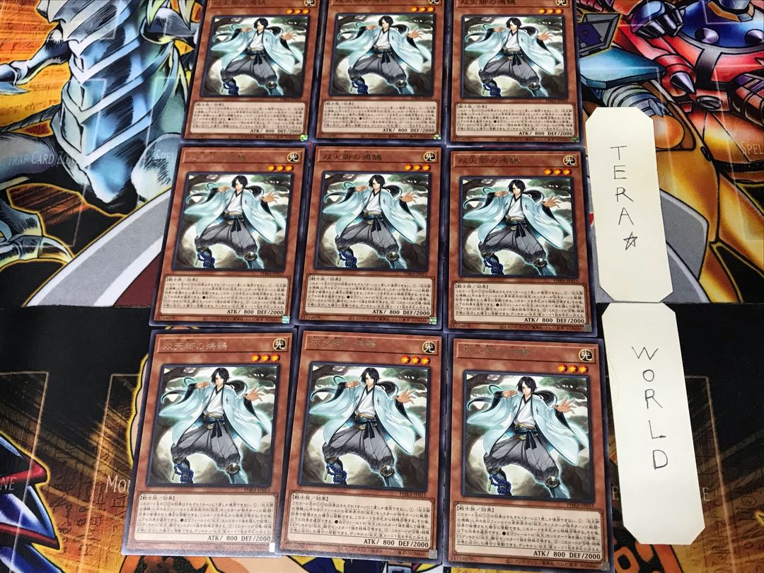 Dual Avatar Feet - Kokoku PHRA 3 rare, set of 9 tera