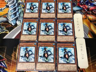 The Legendary Fisherman III DOCS 2 rare, set of 9 tera