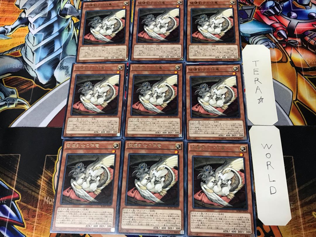 Buster Whelp of the Destruction Swordsman BOSH 1 rare set of 9 tera
