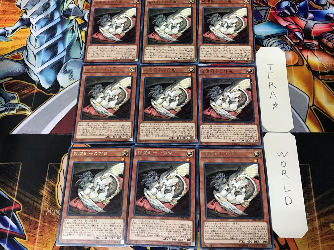 Buster Whelp of the Destruction Swordsman BOSH 3 Rare Set of 9 Tera.