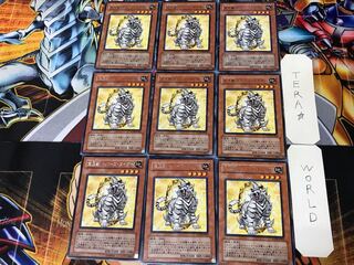 Crystal Beast Topaz Tiger FOTB 2 Rare Set of 9 Tera.